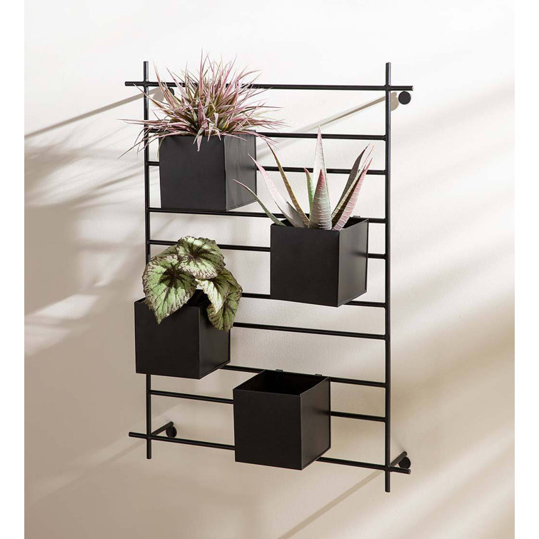 Latitude Run® Metal Wall Planter Wayfair